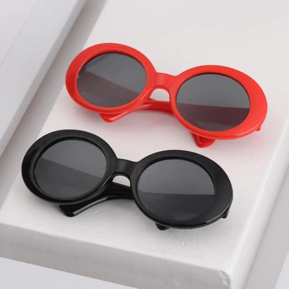 Pet Eyeglasses Accessory