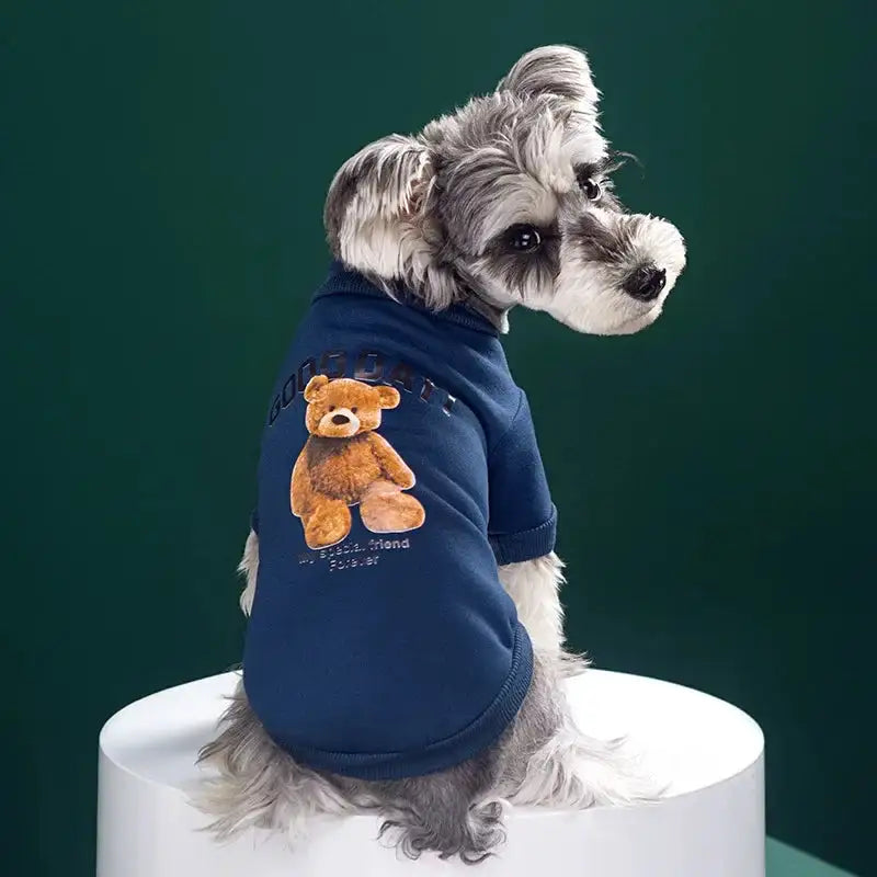 Bear Embrace Dog Pullover