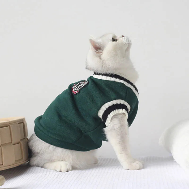 Pawfect Pullover Sweater