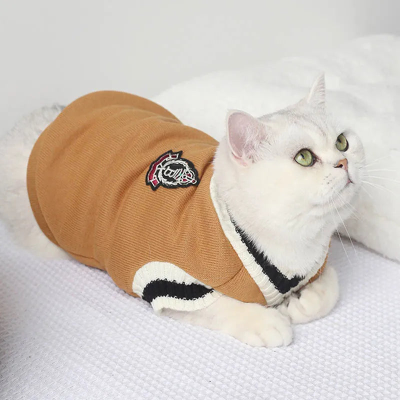 Pawfect Pullover Sweater