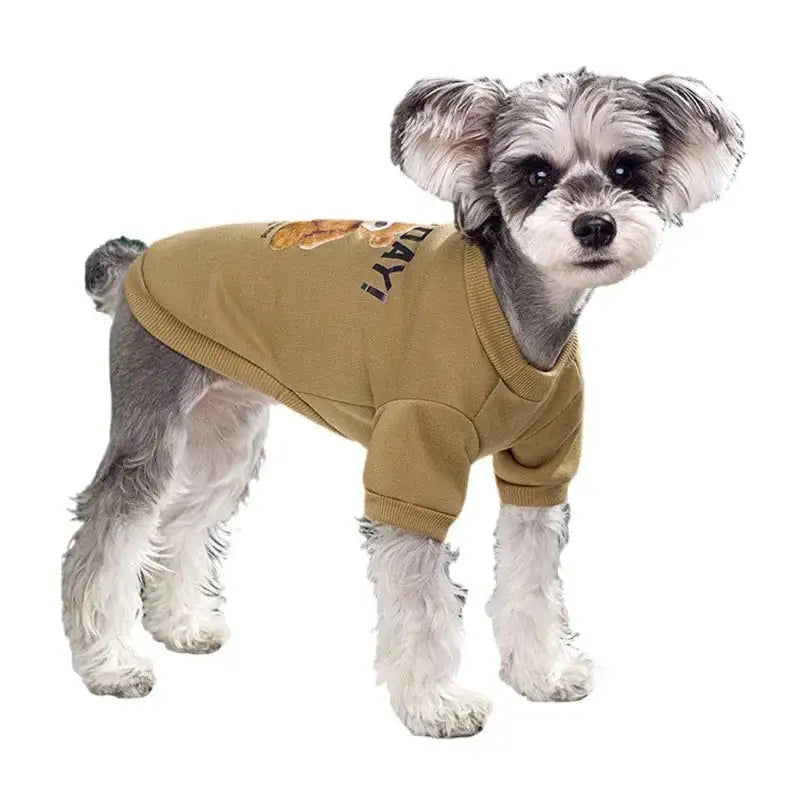 Bear Embrace Dog Pullover