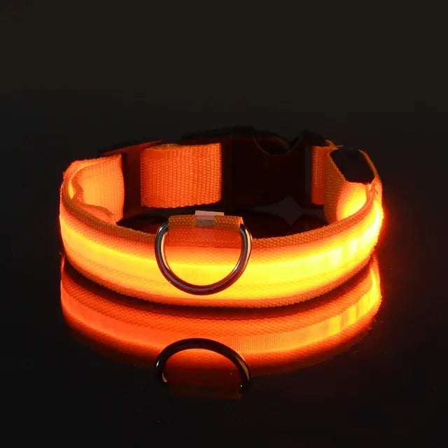 Flashing Glow Dog Collar