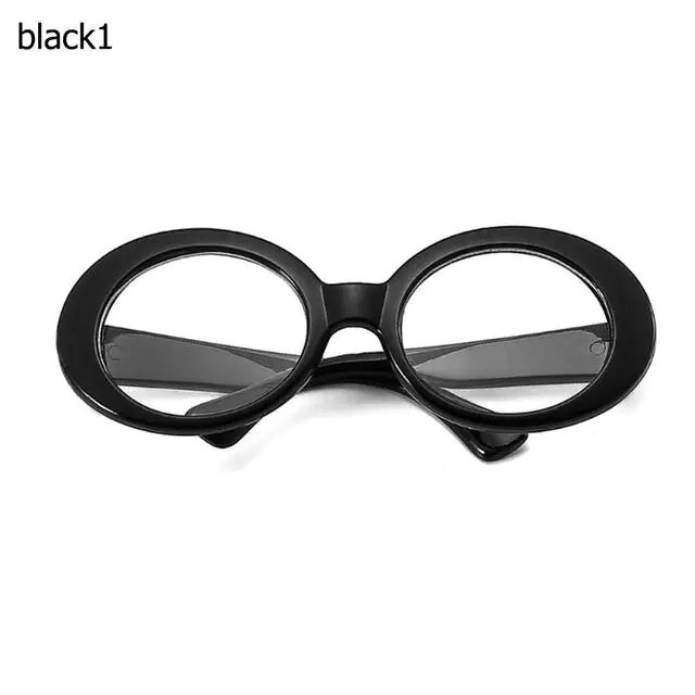 Pet Eyeglasses Accessory