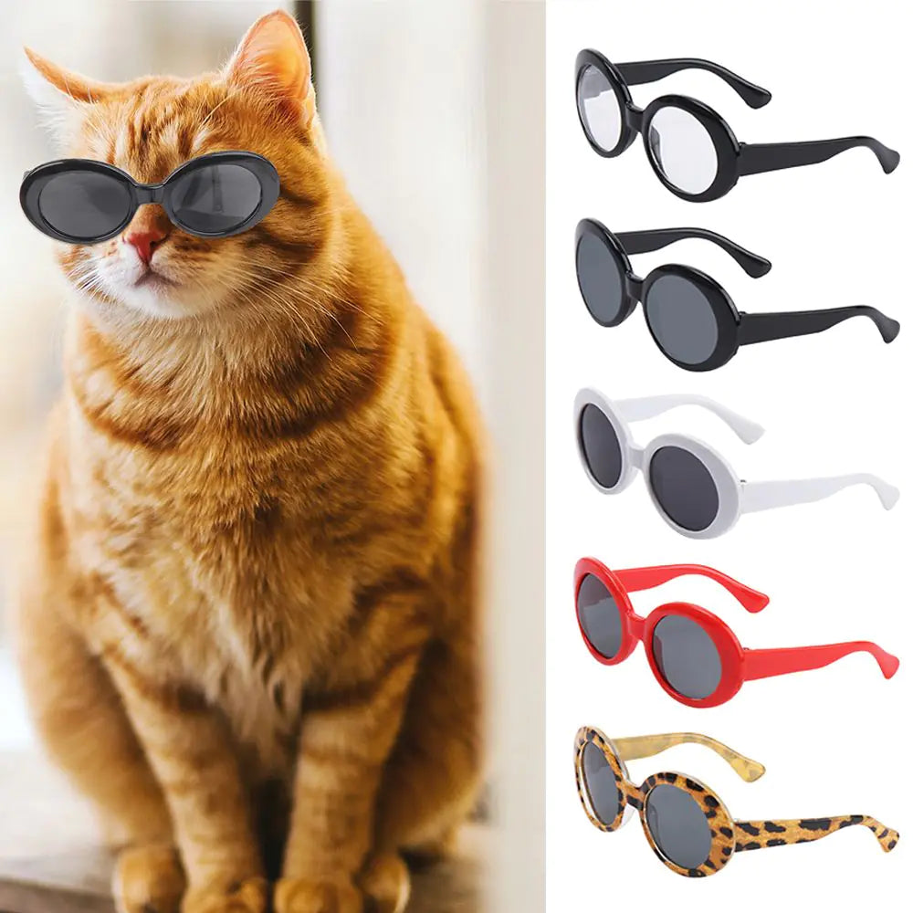 Pet Eyeglasses Accessory