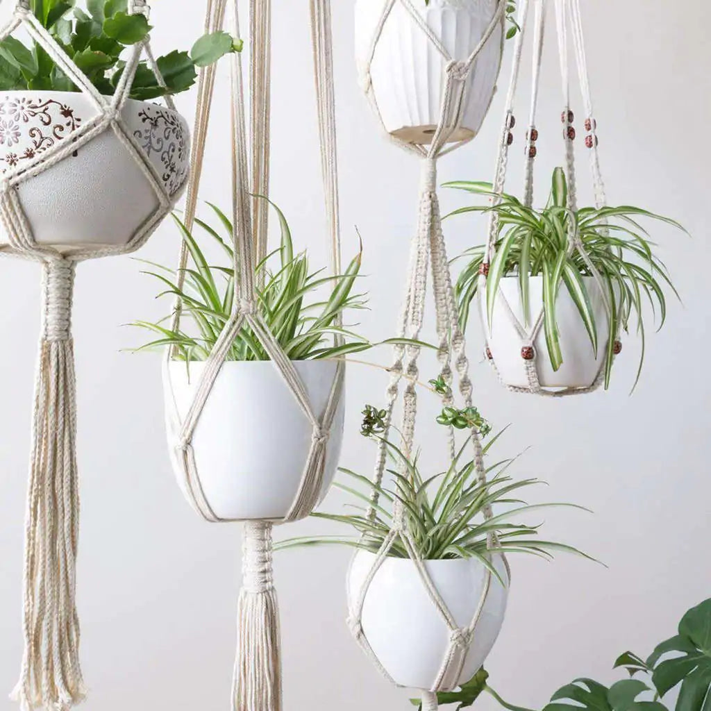 Homemade Macrame Plant Hangers