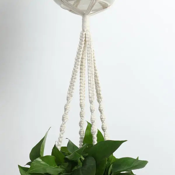 Homemade Macrame Plant Hangers