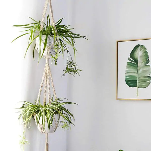 Homemade Macrame Plant Hangers