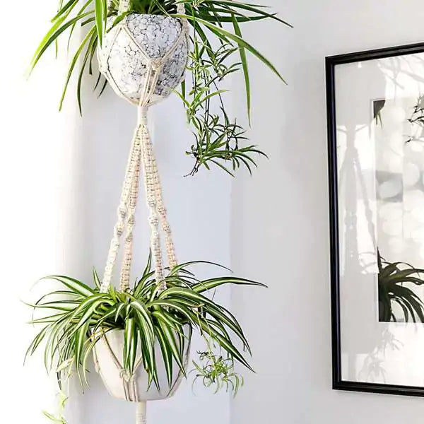 Homemade Macrame Plant Hangers